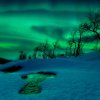 Green world - Arild Heitmann